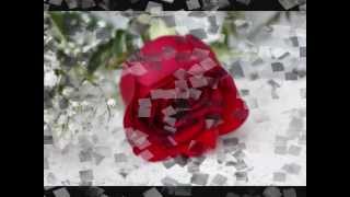 You Move Me: Susan Ashton