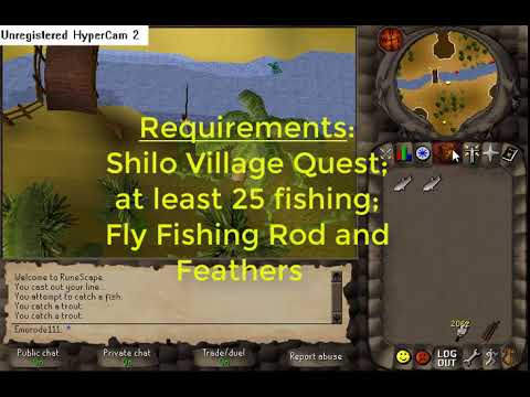 [2004Scape - Lost City] Shilo Village fishing informations