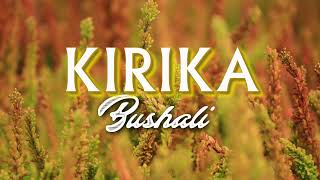 KIRIKA by Bushali (Lyics Video)
