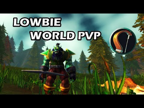 Low-Level Marksmanship Hunter🏹 25+ World PvP! | WoW Classic Era