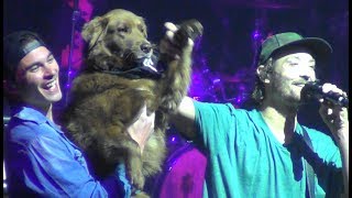 Stick Figure - Shelter - Oakland 2018