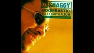 Shaggy - Forgive Them Father