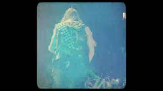 Wylde Audio Cry Baby® Wah