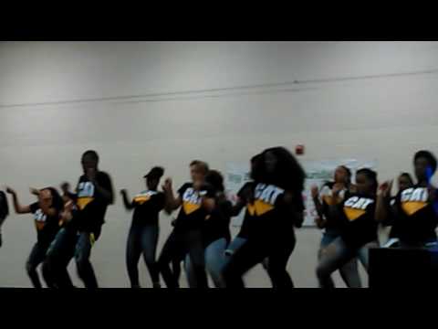 CAT CHOREOGRAPHY IN FULL EFFECT!!