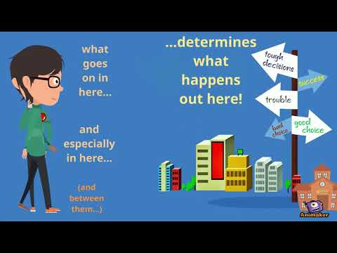 Emable Coaching + Consulting video.