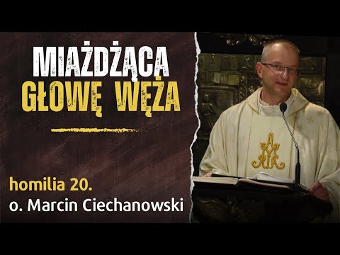 20. "The prophecy is coming true: CRUSHING THE HEAD OF THE SERPER" - Fr. Marcin Ciechanowski (Jas...