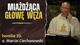 20. "Proroctwo się spełnia: MIAŻDŻĄCA GŁOWĘ WĘŻA" - o. Marcin Ciechanowski (Jasna Góra)