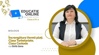 Încrengătura Vermii plați. Clasa Turbelariate. Clasa Cestode