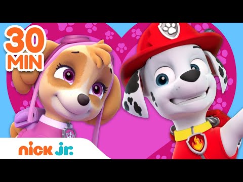 PAW Patrol Celebrates Friendship Day 💖 w/ Skye, Marshall & Chase | 30 Minute Compilation | Nick Jr.