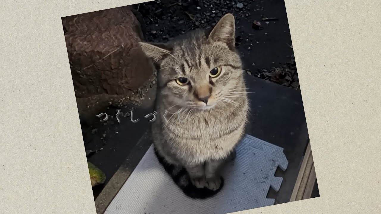 つくしづくし episode 3