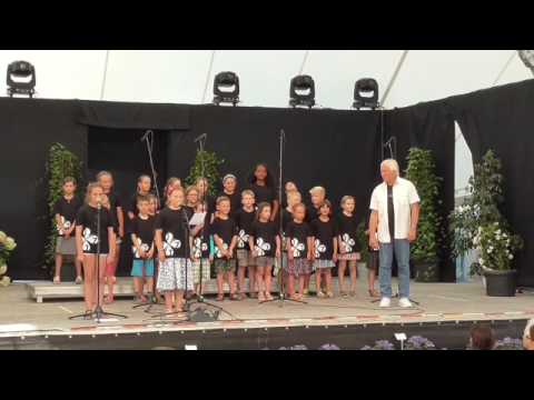 Konzert auf der Gartenschau 2017/ Teil 2