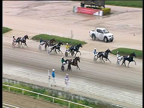 Trotto 31/05/2019 - 4ª corsa