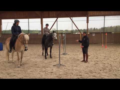 Das Tor -  Working Equitation Staraktion Pferd International München 2017