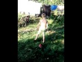 Epic Twerk Fail