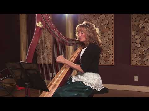 Shari Sarazin-Celtic Harp & Song Christmas Medley