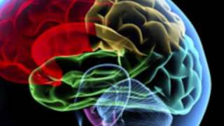 Cérebro Eletrônico