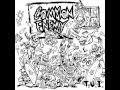 Common Enemy - T.U.I.(Thrashing Under The ...