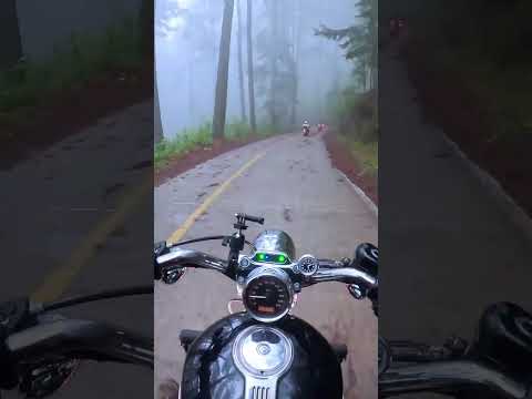 Del baúl de los recuerdos, el regreso de Corral de Piedra #biker #pov #carretera #bosque #motovlog