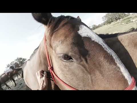 Smurphy  August 27th, 2024