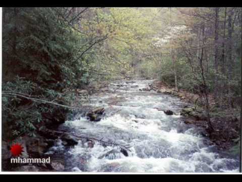 وحدة ما يغلبها غلاب محمد قنديل