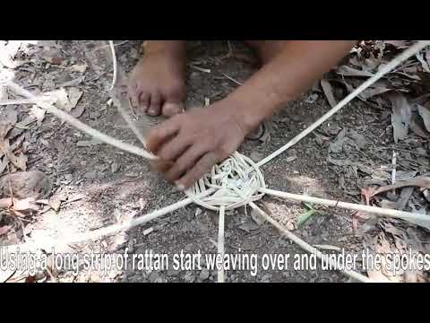 365 $ Days $ How $ I $ Survival, $ Cooking $ And $ Building $ In $ The $ Rain $ Forest $   Full Vide