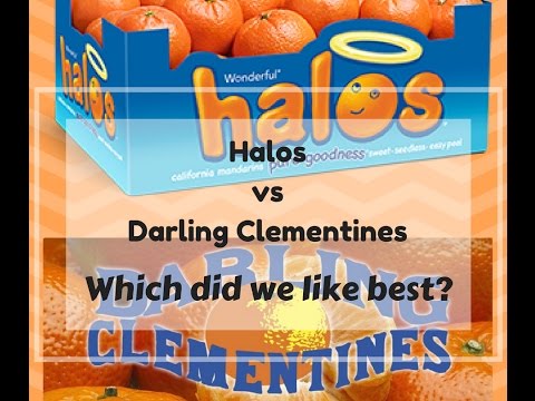 Halos vs Darling Clementines. Which did we like best?