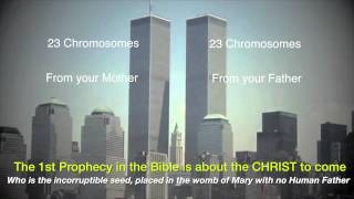The 3rd Temple "Birthing a New Race within Humanity"