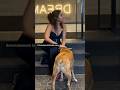Manjari Fadnis Finds Out That Maxi S Scratchie Tax Must Be Paid Before She Enters His Palace