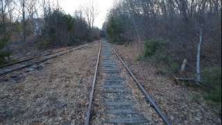 Unused Railroad Track Cleared of Brush for the first time in years. - Needham, MA