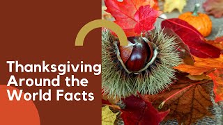 Thanksgiving Around the World Facts | Celebrating Facts gameplay video by Vlarrabee, 7:29 duration