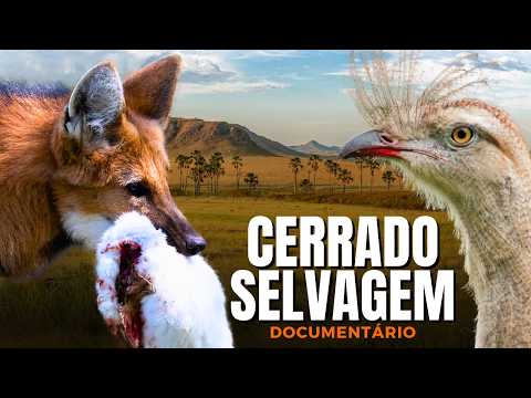 CERRADO SELVAGEM: A Vida na Savana Mais Rica do Mundo | Documentário Completo