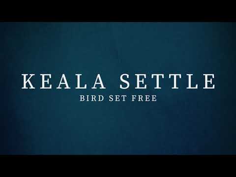 Keala Settle - Bird Set Free (Sia Cover)