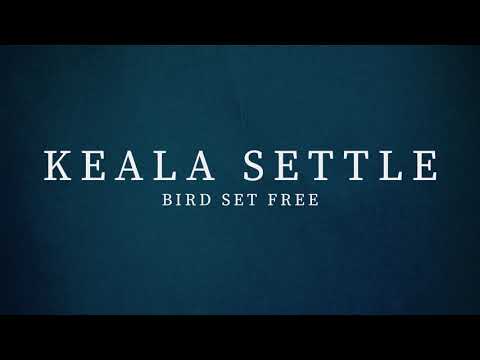 Keala Settle - Bird Set Free (Sia Cover)