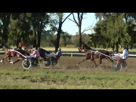 6° Carrera ...1° GORA LOOK SIRIA (Jonatan Porfilio)