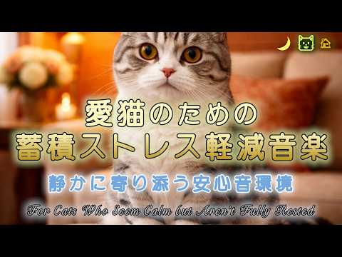 Stress-Sensitive Cats BGM 12 Hours｜Gentle Sound Design for Daily Calm and Rest