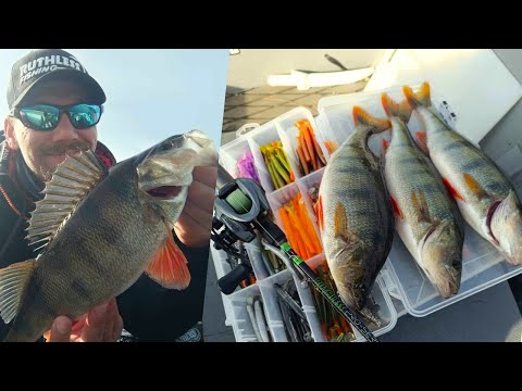 AHVENEN JIGIKALASTUSTA SYKSYLLÄ | MISTÄ KALAT LÖYTYY?