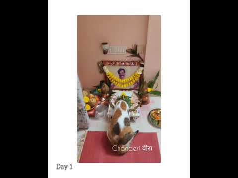 Shraddhavan Squad ~ AniruddhaBhaktibhavchaitanya