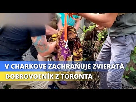 VOJNA NA UKRAJINE – Následkom vojny zomrelo asi 20 civilných lekárov