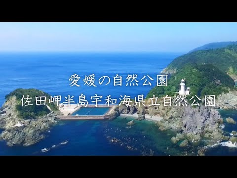 チレントおよびヴァル・ディ・ディアーノ国立公園 - 定義