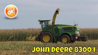 Silage 2025 | John Deere 8300i forager in maize silage