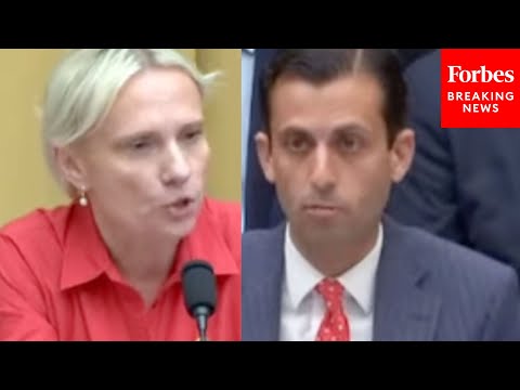 'Do You Believe We Should Have Unlimited Immigration?': Spartz Grills Witness About Immigration