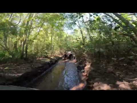 Hog Waller Halloween weekend 2025