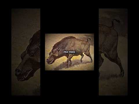 Glad they went extinct… #iceage #daedon #smilodon #woollymammoth #cavebear #kelenken #prehistoric