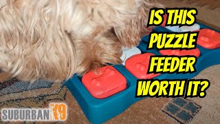 Outward Hound Brick Puzzle Toy Review