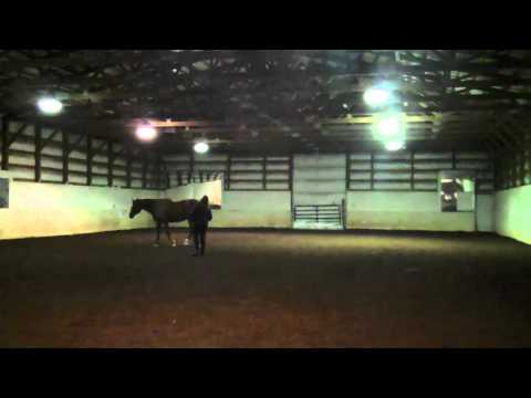 Parelli Liberty Rocks