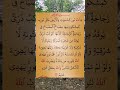 سورة النور