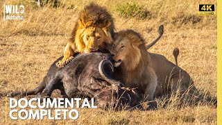 Luangwa Salvaje – Los Secretos de una Naturaleza que Nunca Perdona | Documental de Animales