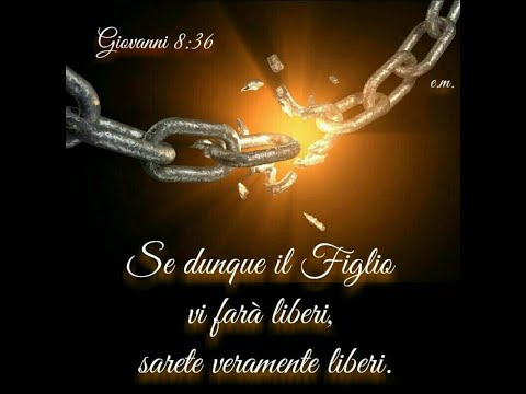 Live streaming di  veramenteliberi  Domenica   23-10-2022