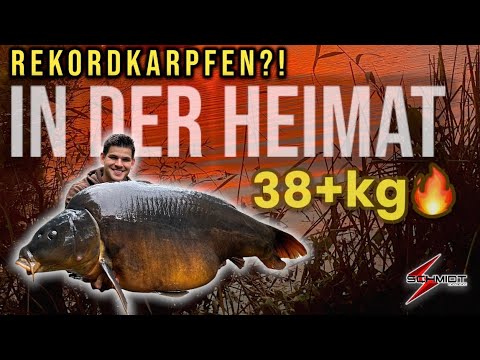 Is this a new RECORD carp?!🤯 | 38+KG🎣|Summer big fish fishing