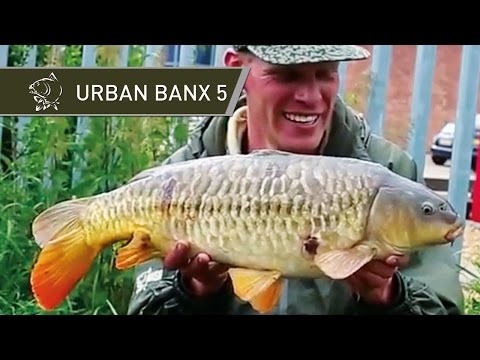 Urban Canal Carp Fishing - Urban Banx 5 with Alan Blair - Stratford Upon Avon - Nash Tackle
